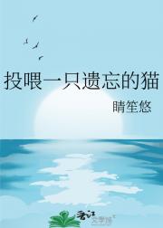 投喂一只遗忘的猫