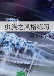 虫族之风格练习