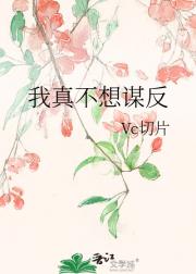 我真不想谋反