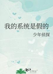 我的系统是假的