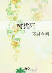 树犹死
