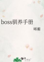 boss驯养手册