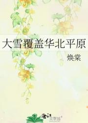 大雪覆盖华北平原