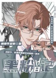 黑粉日记