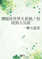 穿到异世界无系统，但捡到大反派