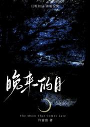 晚来的月