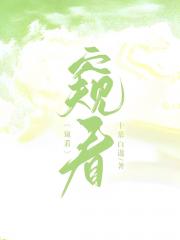 窥看
