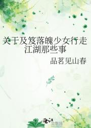 关于及笈落魄少女行走江湖那些事