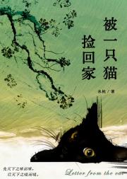 被一只猫捡回家