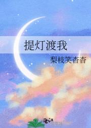 提灯渡我