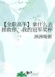 【全职高手】拿什么去拯救你，我的冠军奖杯