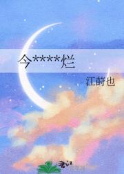 今夜星光灿烂