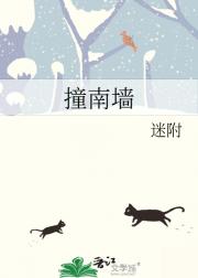 撞南墙