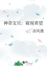 神奇宝贝：窥视希望