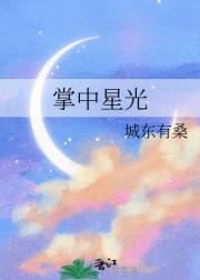 掌中星光