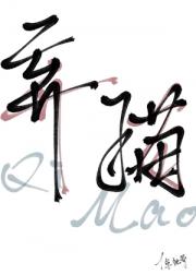 弃猫