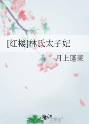[红楼]林氏太子妃