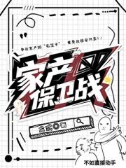家产保卫战