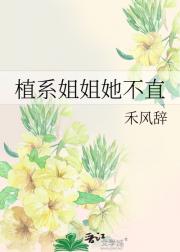 植系姐姐她不直