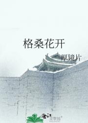 格桑花开
