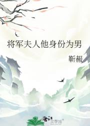 将军夫人他身份为男