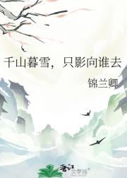 千山暮雪，只影向谁去