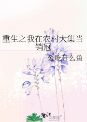 重生之我在农村大集当销冠