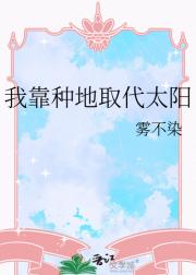 阳光收费，我能种植向日葵