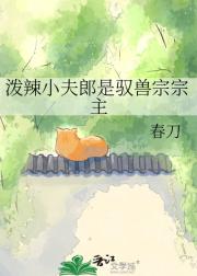 泼辣小夫郎是驭兽宗宗主