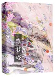 窃君心