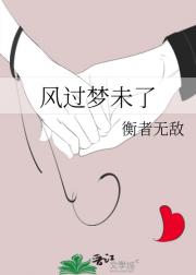 风过梦未了