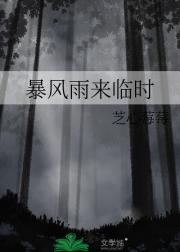 暴风雨来临时