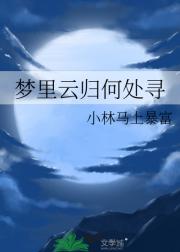 君似孤云何处归