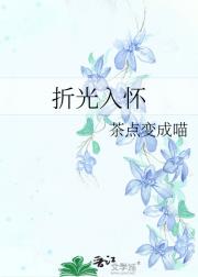 折光入怀