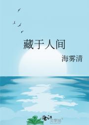 藏于人间