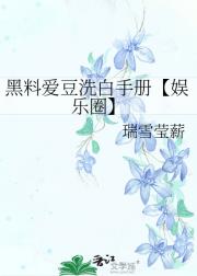 黑料爱豆洗白手册【娱乐圈】