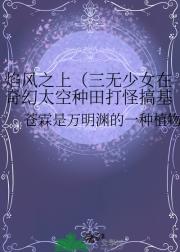 焰风之上