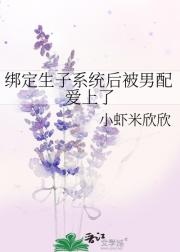 绑定生子系统后被男配爱上了