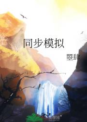 同步模拟