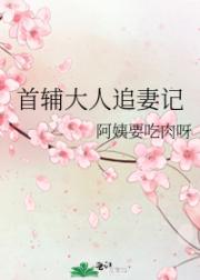 首辅大人追妻记