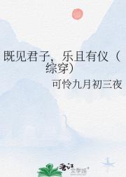既见君子，乐且有仪（综穿）