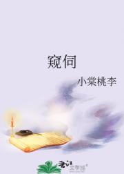 窥伺