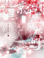 京华月照宛秋时