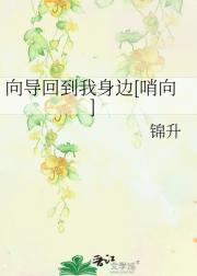 向导回到我身边[哨向]