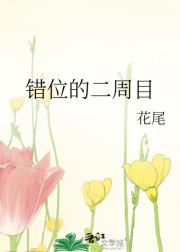 错位的二周目