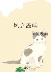 风之岛屿