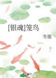 [银魂]笼鸟