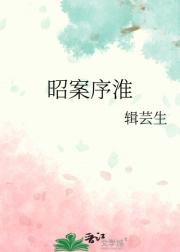 昭案序淮