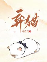 弃猫