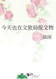今天也在文旅局捉文物